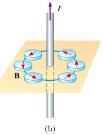 Magnetic compasses aligning in circles around a current-carrying wire.
